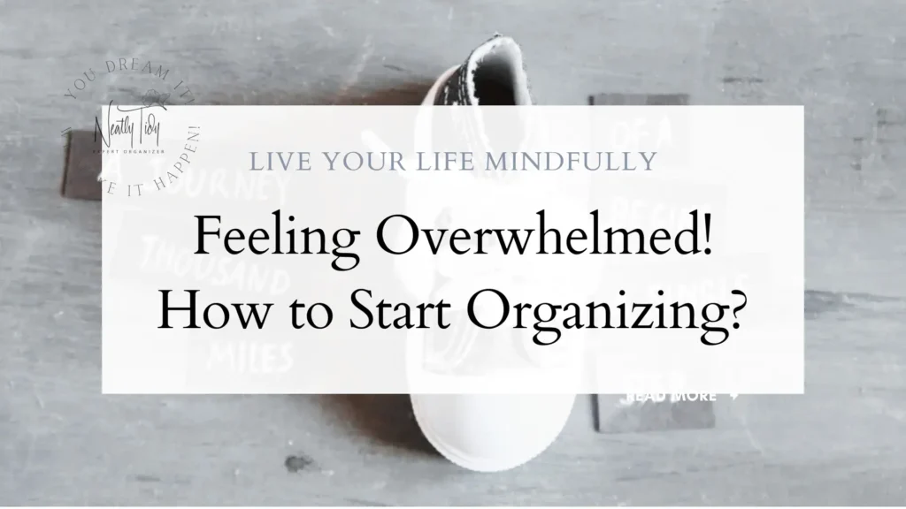 One step ate the time, Feeling Overwhelmed and How to Start Organize your Life with new babies.